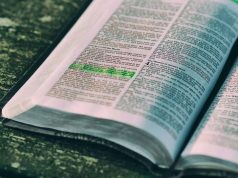 Plano de Leitura da Bíblia em 1 Ano