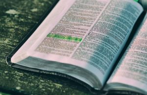 Plano de Leitura da Bíblia em 1 Ano